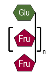 Fructanen