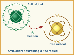 Antioxidant