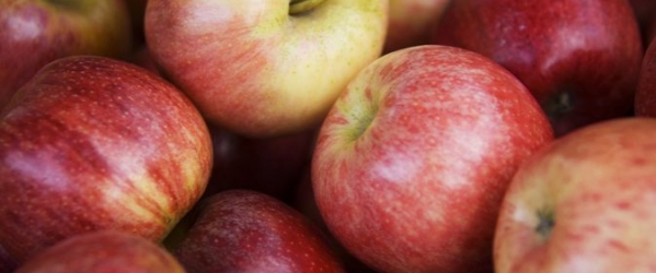 appels