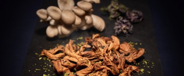 Botanicbites