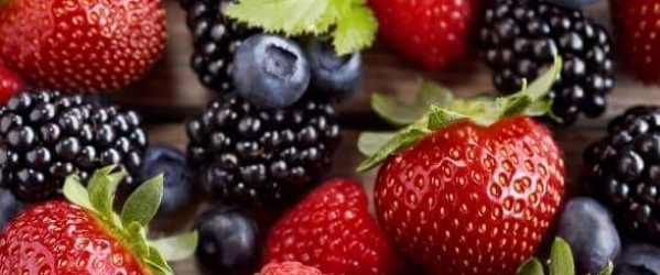 fruit