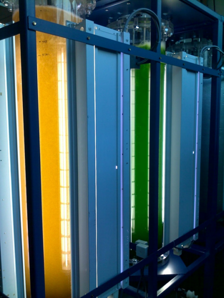 air lift fotobioreactoren ter axenische cultivatie